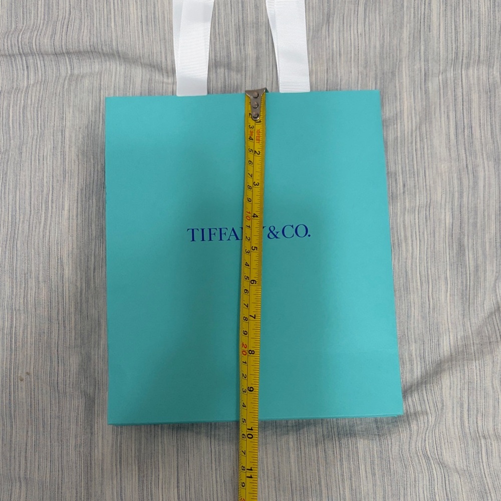 Tiffany & Co. Robin's Egg Blue Gift Bag with White Ribbon - Picture 2 of 5